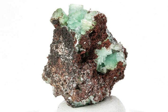 Cuprian Adamite Crystals on Matrix - Ojuela Mine, Mexico #211974